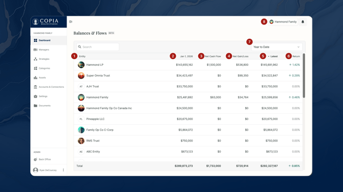 Copia_BalanceAndFlows