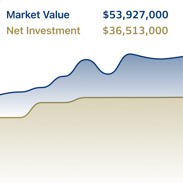 Portfolio Value