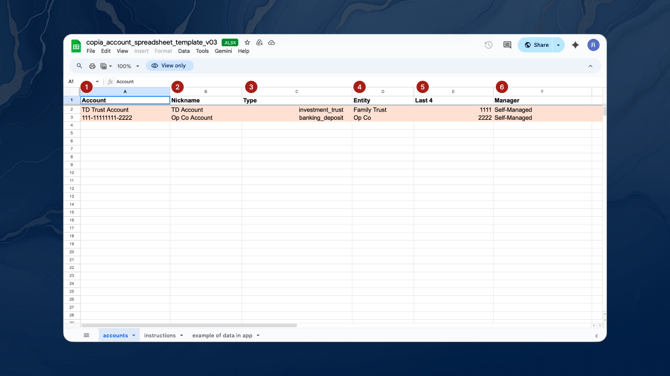 Spreadsheet_Importer_Accounts